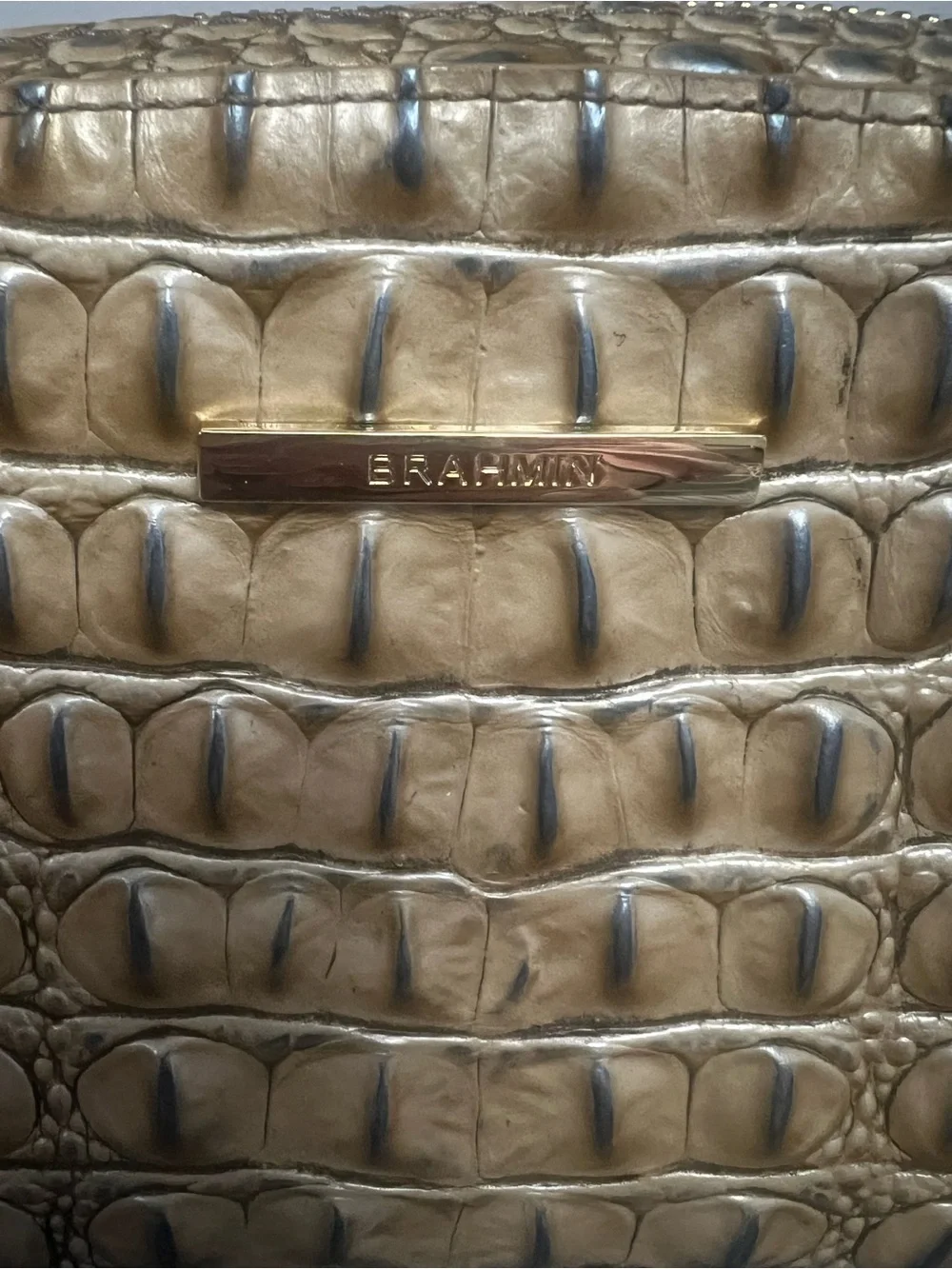 Brahmin structured croc